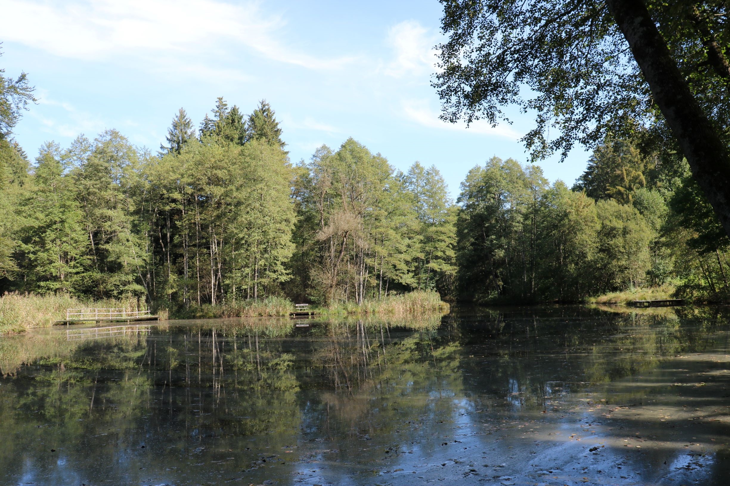 Saugroboter schützt Tier und Natur