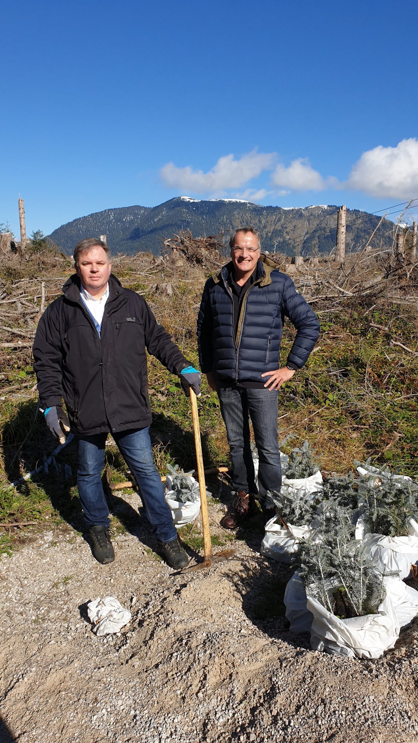 Frischpack pflanzt Bäume in den Alpen