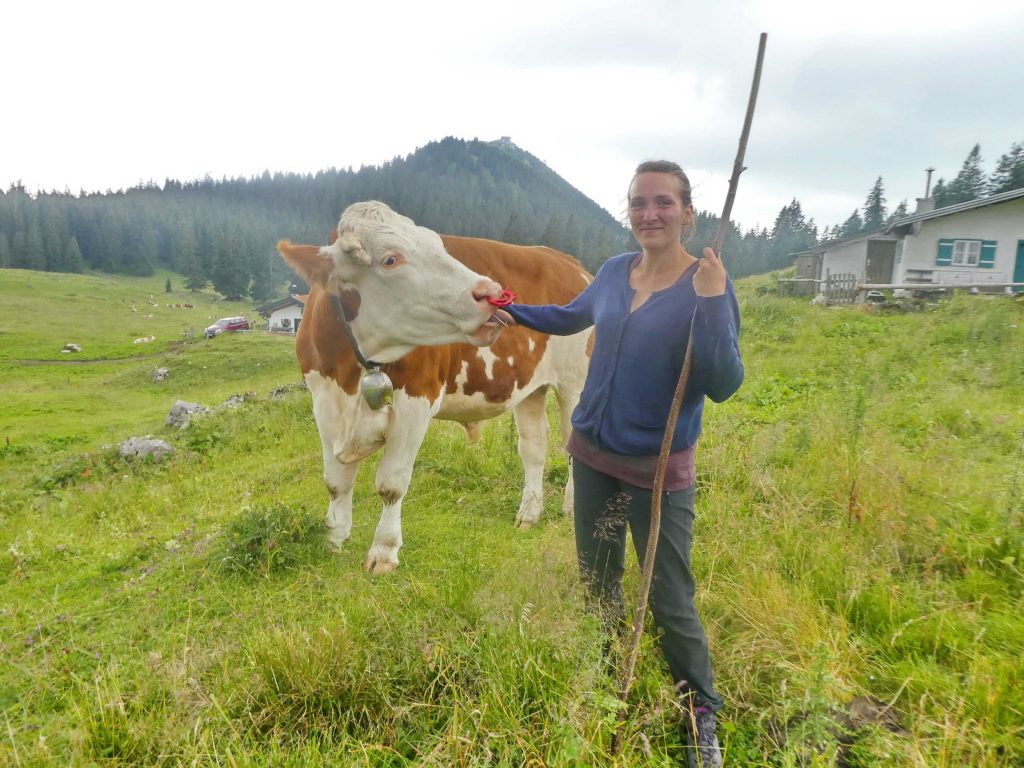 Almerin Andrea Neuwieser auf dem Gebiet der Riesenalmen. Foto: Hötzelsperger