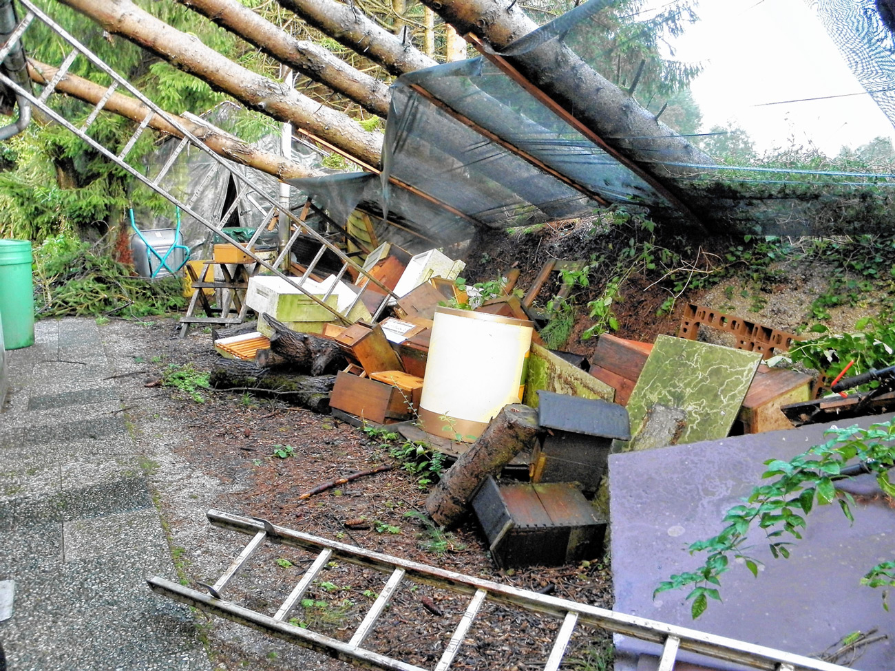 Sturm beschädigt Imkerei