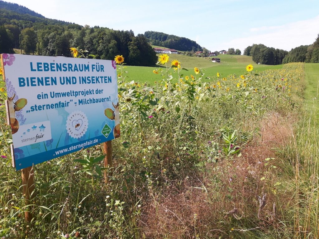 Ein Projekt für den Natur- und Umweltschutz.