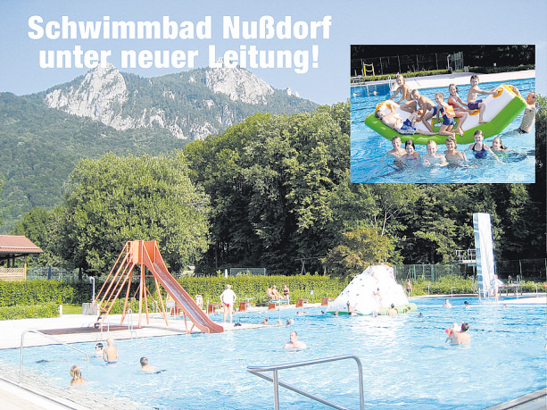 Badespaß im sonnigen Nußdorfer Freibad.